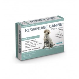 Resvantage Canine 白藜蘆醇老年抗衰老及抗癌 30粒 (狗食用）